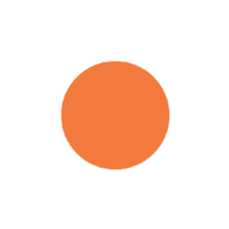 Solver logo